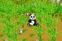 Farma pandy